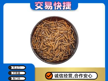 秦皇岛高价回收散虫草